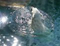 16 - Lars war lange im Wasser